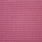 t91ncs010-wineberry